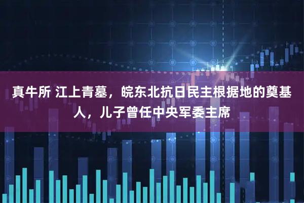 真牛所 江上青墓，皖东北抗日民主根据地的奠基人，儿子曾任中央军委主席
